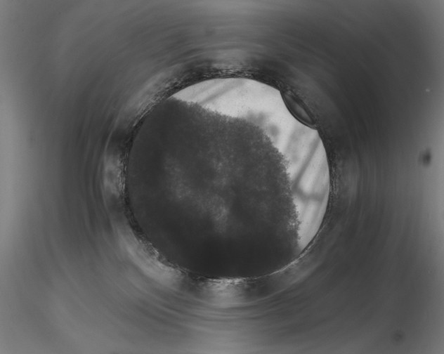 X0000114620136200912011010