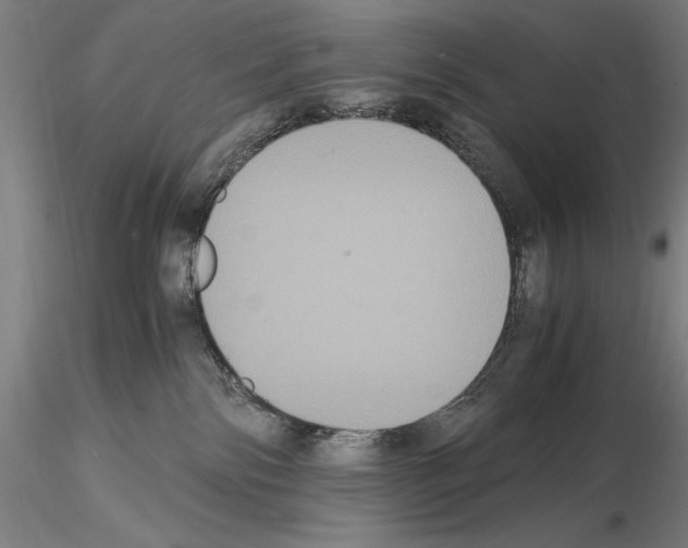 X0000114620138200912011010