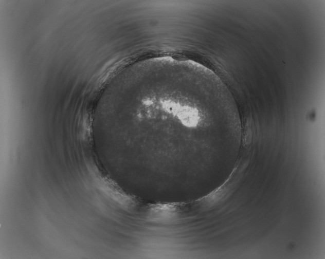 X0000114620140200912011010