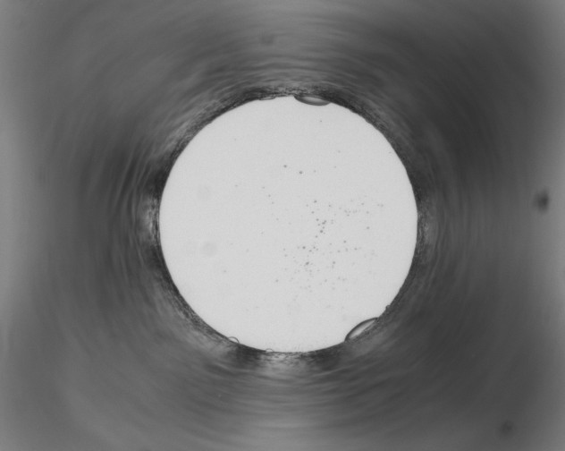 X0000114620141200912011010