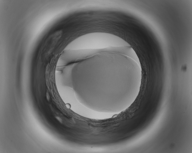 X0000114620143200912011010