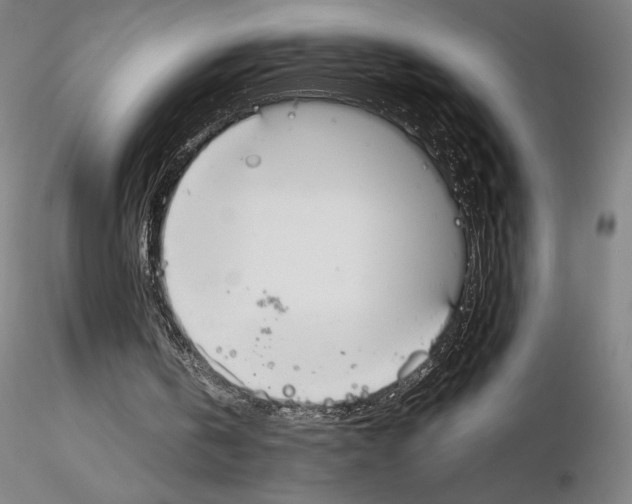 X0000114620146200912011009