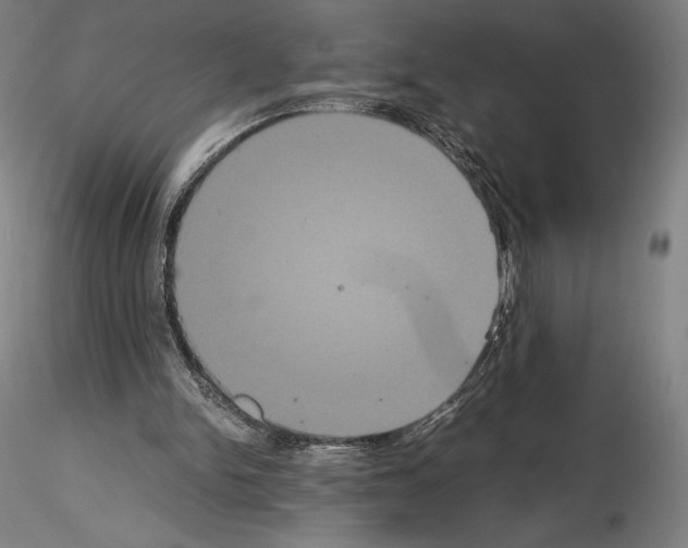 X0000114620150200912011009