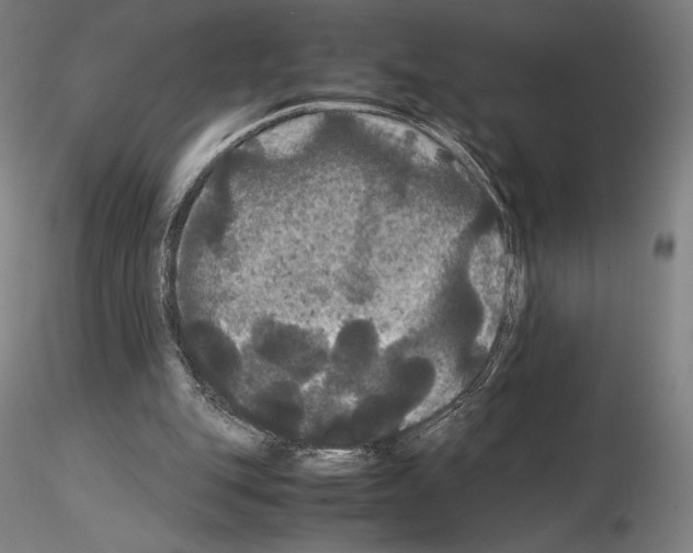 X0000114620151200912011009