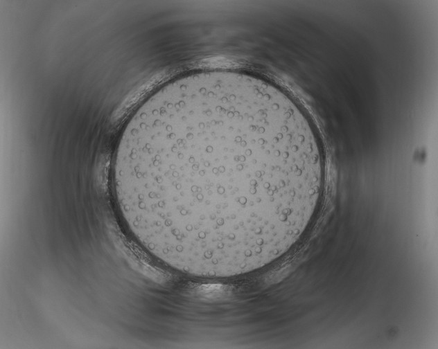 X0000114620153200912011009