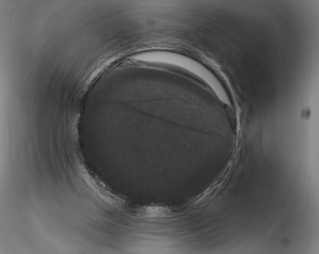 X0000114620154200912011009