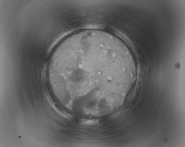 X0000114620155200912011009