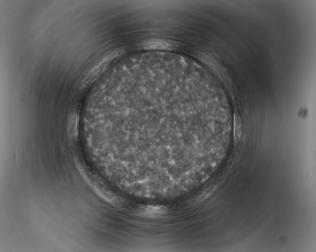 X0000114620157200912011009