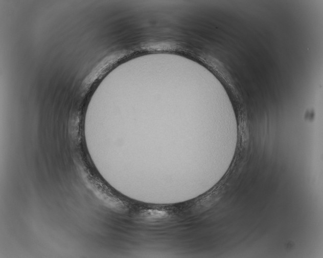 X0000114620159200912011009