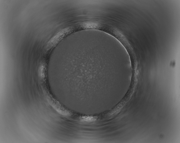 X0000114620161200912011009