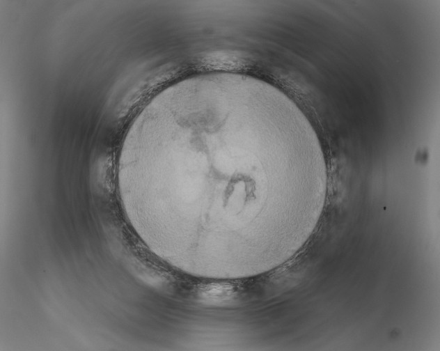 X0000114620162200912011009