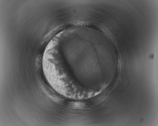 X0000114620165200912011009