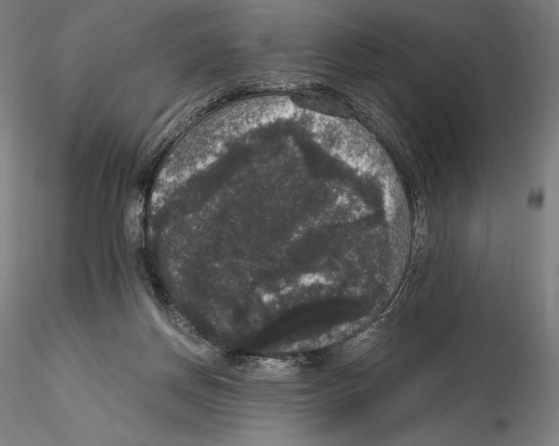 X0000114620166200912011010