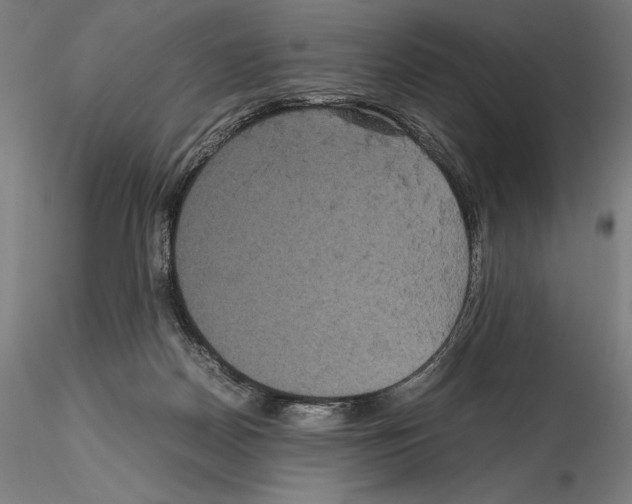 X0000114620170200912011010