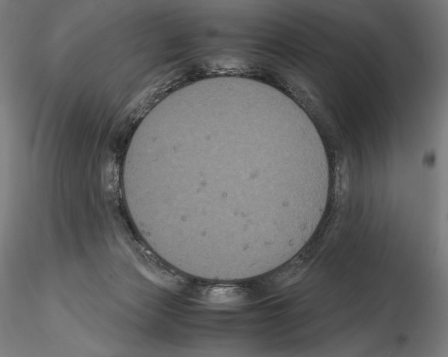 X0000114620173200912011010