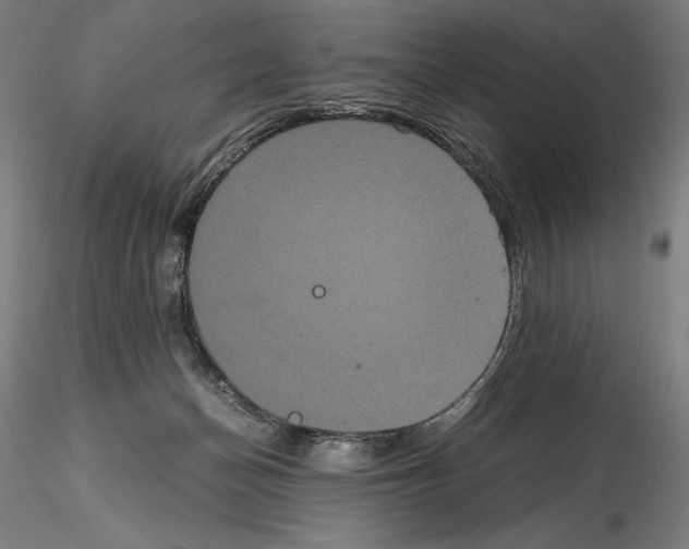 X0000114620174200912011010