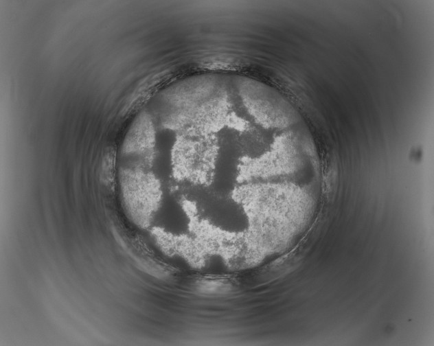 X0000114620175200912011010