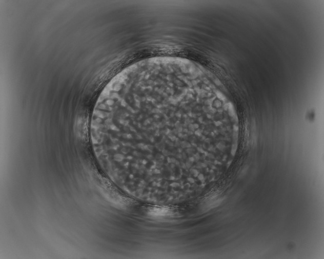 X0000114620177200912011010