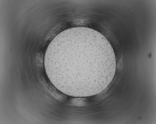 X0000114620179200912011010