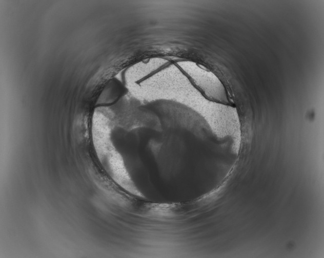 X0000114620182200912011010