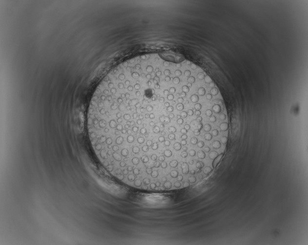 X0000114620183200912011010