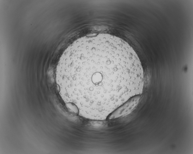 X0000114620187200912011010