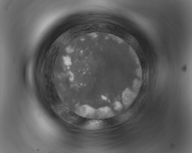 X0000114620189200912011010