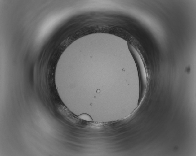 X0000114620190200912011010