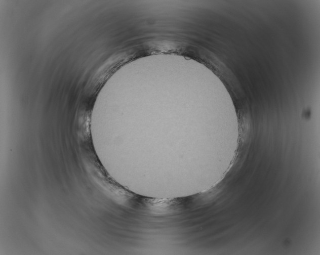 X0000114620191200912011010