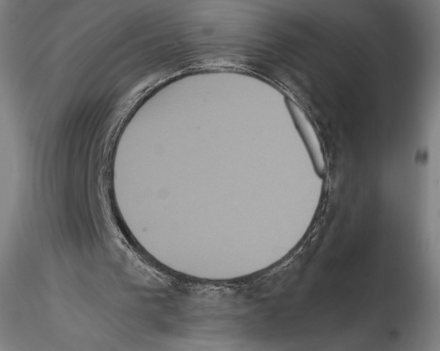 X0000114620193200912011009