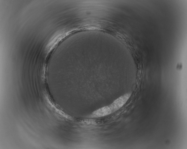 X0000114620194200912011009