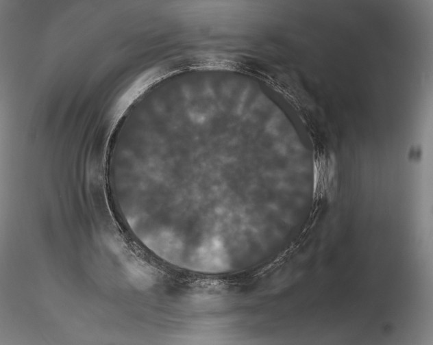 X0000114620195200912011009