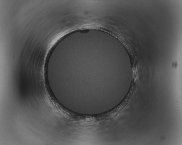 X0000114620196200912011009