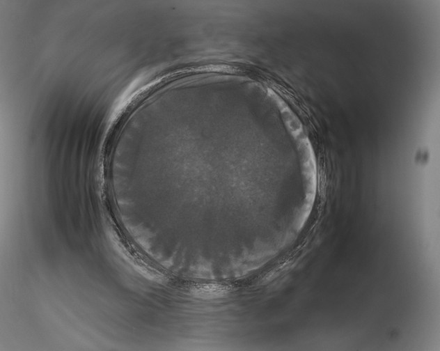 X0000114620198200912011009