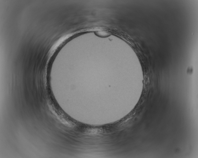 X0000114620200200912011009