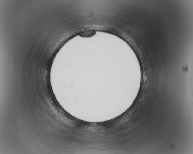 X0000114620201200912011009