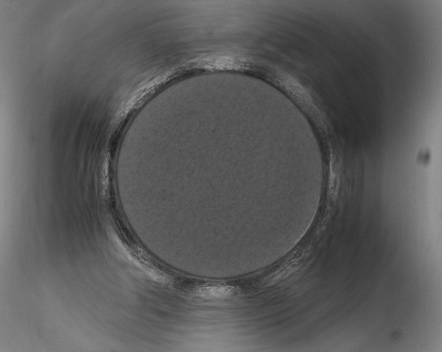 X0000114620202200912011009