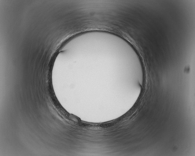 X0000114620203200912011009