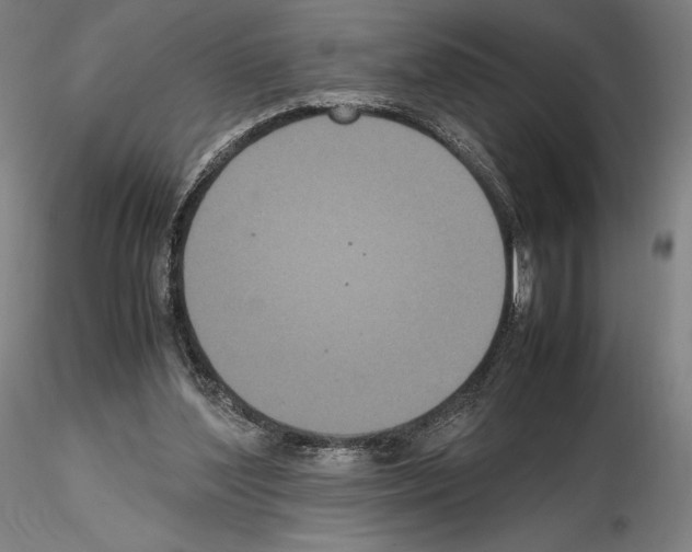 X0000114620204200912011009