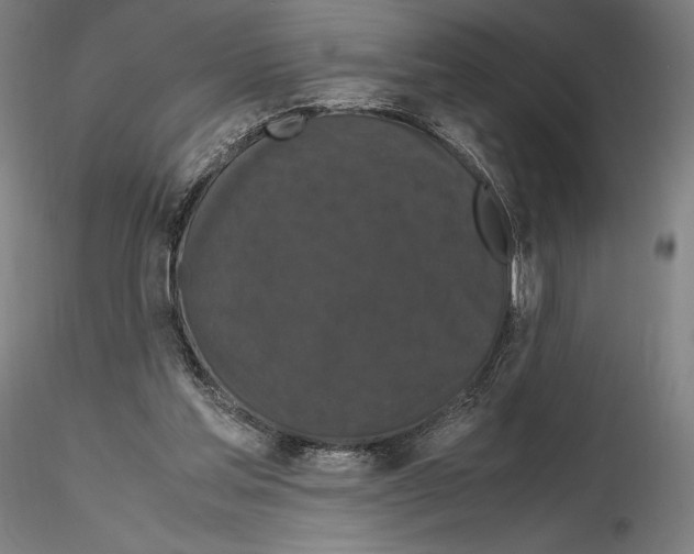 X0000114620205200912011009