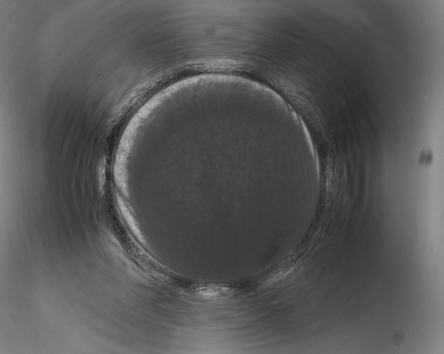 X0000114620206200912011009