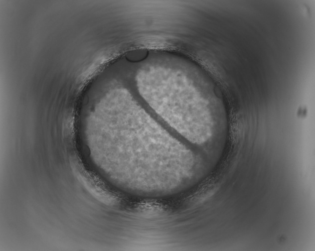 X0000114620207200912011009