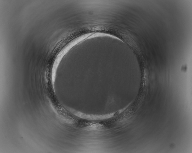 X0000114620210200912011009