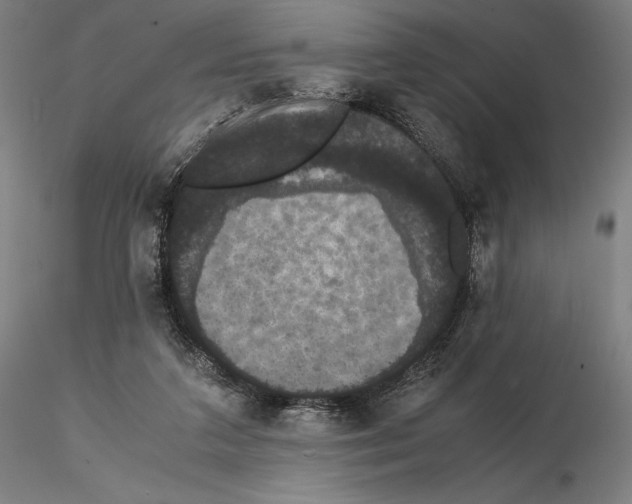 X0000114620211200912011009