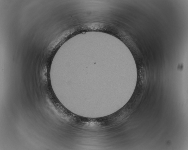 X0000114620212200912011009