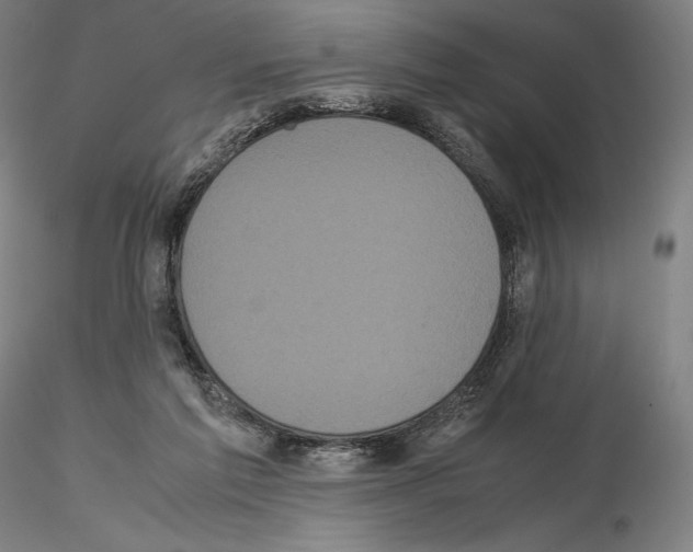 X0000114620213200912011009