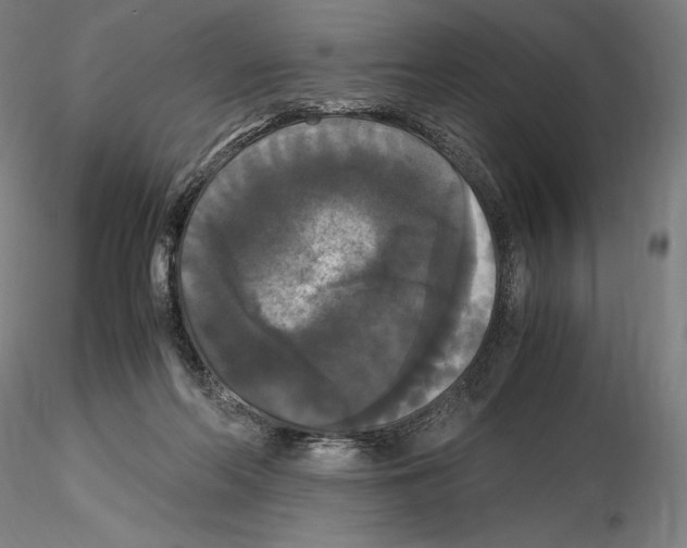 X0000114620214200912011009