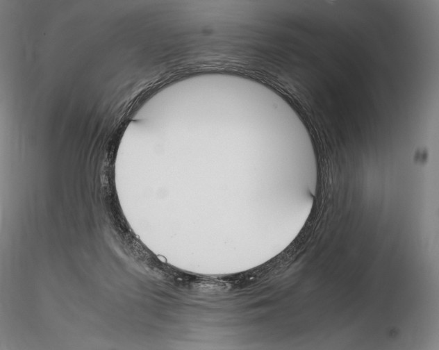 X0000114620215200912011009