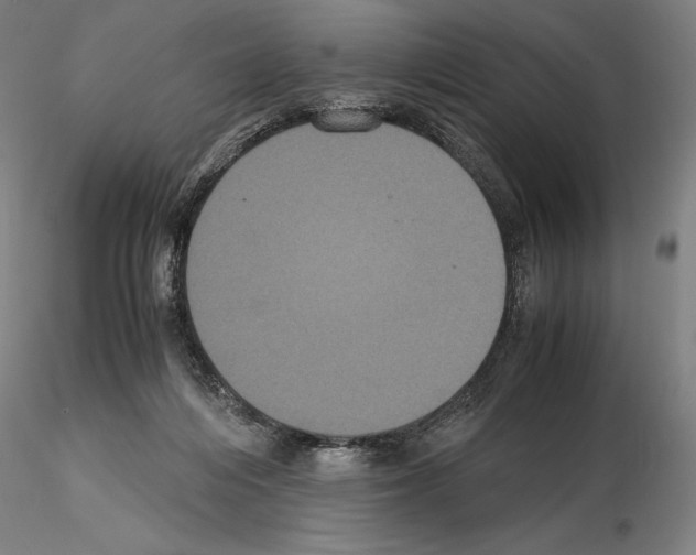 X0000114620216200912011009