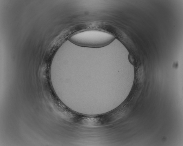 X0000114620217200912011009